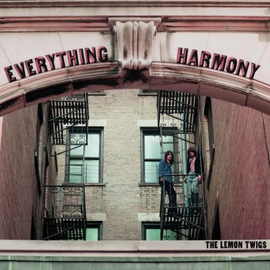 The Lemon Twigs | Everything Harmony