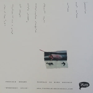 Possible Humans : Everybody Split  (LP, Album)
