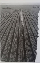 Load image into Gallery viewer, Possible Humans : Everybody Split  (LP, Album)