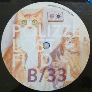 Mike Polizze : Long Lost Solace Find (LP, Album)