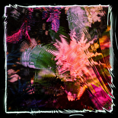 Camila Fuchs : Kids Talk Sun (LP, Album, Ltd, Yel)