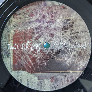 Animal Collective : Bridge To Quiet (12", EP)