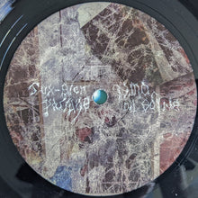 Load image into Gallery viewer, Animal Collective : Bridge To Quiet (12&quot;, EP)