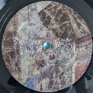 Animal Collective : Bridge To Quiet (12", EP)
