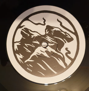 Jim Ghedi : In the Furrows of Common Place (LP, Album)