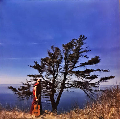 David Morris (17) : Monastic Love Songs (LP, Album)