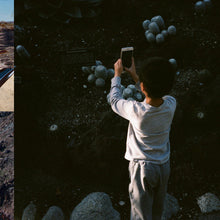 Load image into Gallery viewer, Mega Bog : Life, And Another (LP, Album)