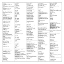 Load image into Gallery viewer, Mega Bog : Life, And Another (LP, Album)
