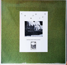Load image into Gallery viewer, Tortoise : Rhythms, Resolutions &amp; Clusters (LP, Album, Ltd, RE, RP, Gol)