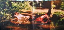 Load image into Gallery viewer, Let&#39;s Eat Grandma : Two Ribbons (LP + 7&quot;, S/Sided + Album, Ltd)