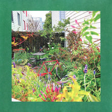 Load image into Gallery viewer, The Reds, Pinks And Purples : Unwishing Well (LP, Album, Ltd, Whi)