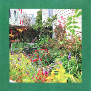 The Reds, Pinks And Purples : Unwishing Well (LP, Album, Ltd, Whi)