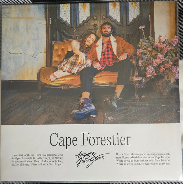 Angus & Julia Stone : Cape Forestier (LP, Album, Gol)