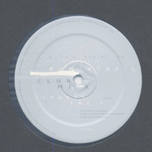 Load image into Gallery viewer, Arthur Russell : In The Light Of The Miracle (12&quot;)