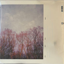 Load image into Gallery viewer, American Football : American Football (2xLP, Album, Dlx, Ltd, RE, RM, Sil)