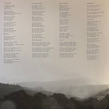 Load image into Gallery viewer, Bridget Hayden and the Apparitions : Cold Blows The Rain (LP, Album)