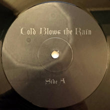 Load image into Gallery viewer, Bridget Hayden and the Apparitions : Cold Blows The Rain (LP, Album)