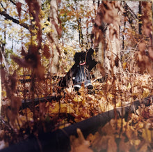 Load image into Gallery viewer, Billy Woods : Golliwog (2xLP, Album)