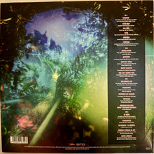 Load image into Gallery viewer, Africa Express : Africa Express Presents... Bahidorá (2xLP, Album)