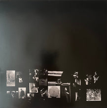 Load image into Gallery viewer, Mazzy Star : Among My Swan (LP, Album, RE)