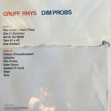 Load image into Gallery viewer, Gruff Rhys : Dim Probs (LP, Album)
