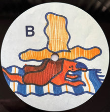 Load image into Gallery viewer, Gruff Rhys : Dim Probs (LP, Album)