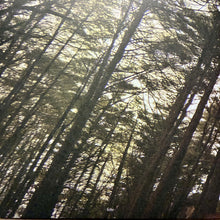 Load image into Gallery viewer, Constant Smiles : Moonflowers (LP, Album, Ltd, Cle)