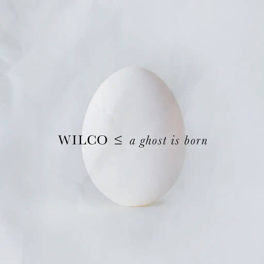 Wilco | A Ghost Is Born