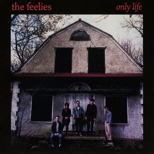 The Feelies | Only Life