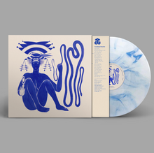 Load image into Gallery viewer, Hiatus Kaiyote | Love Heart Cheat Code