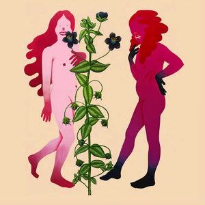 Various Artists | Someone Like Me