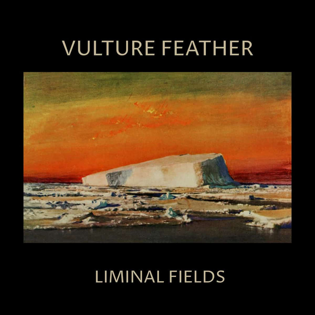 Vulture Feather | Liminal Field