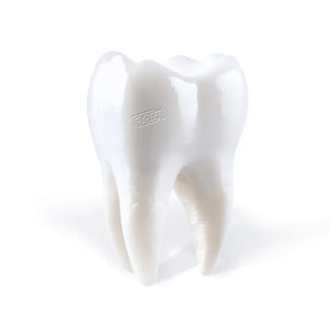 Porij | Teething