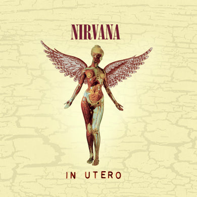Nirvana | In Utero
