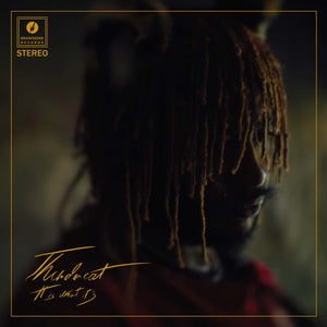 Thundercat ‎| It Is What It Is - Hex Record Shop