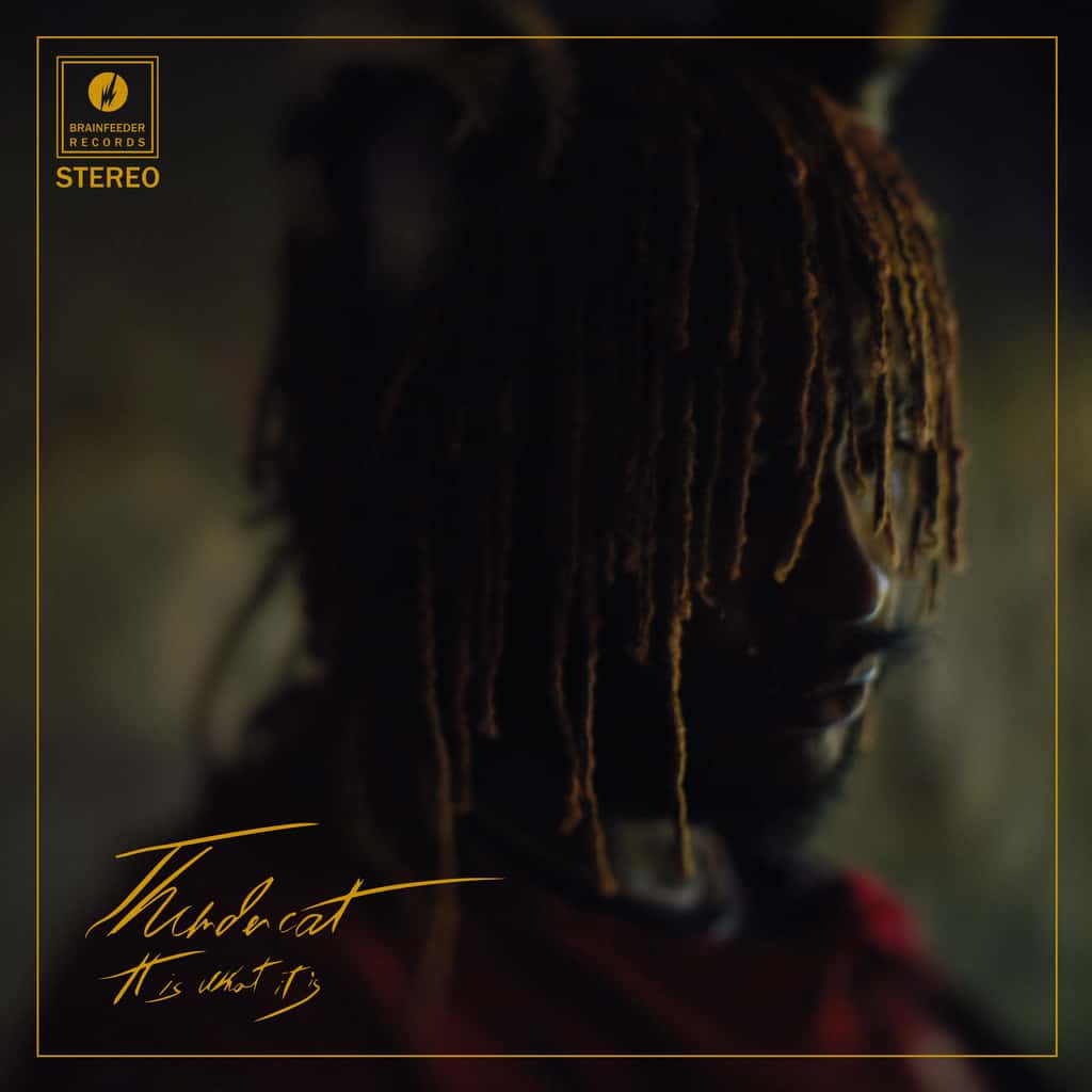 Thundercat ‎| It Is What It Is - Hex Record Shop