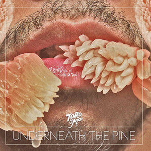 Toro Y Moi | Underneath The Pine (10th Anniversary Edition)