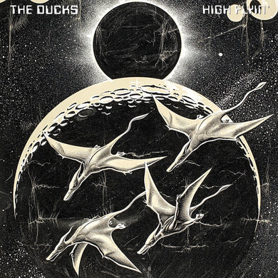 The Ducks | High Flyin'