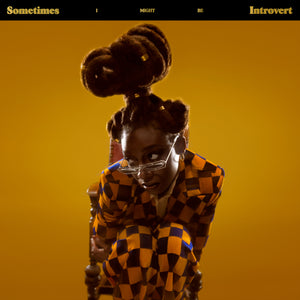 Little Simz | Sometimes I Might Be Introvert