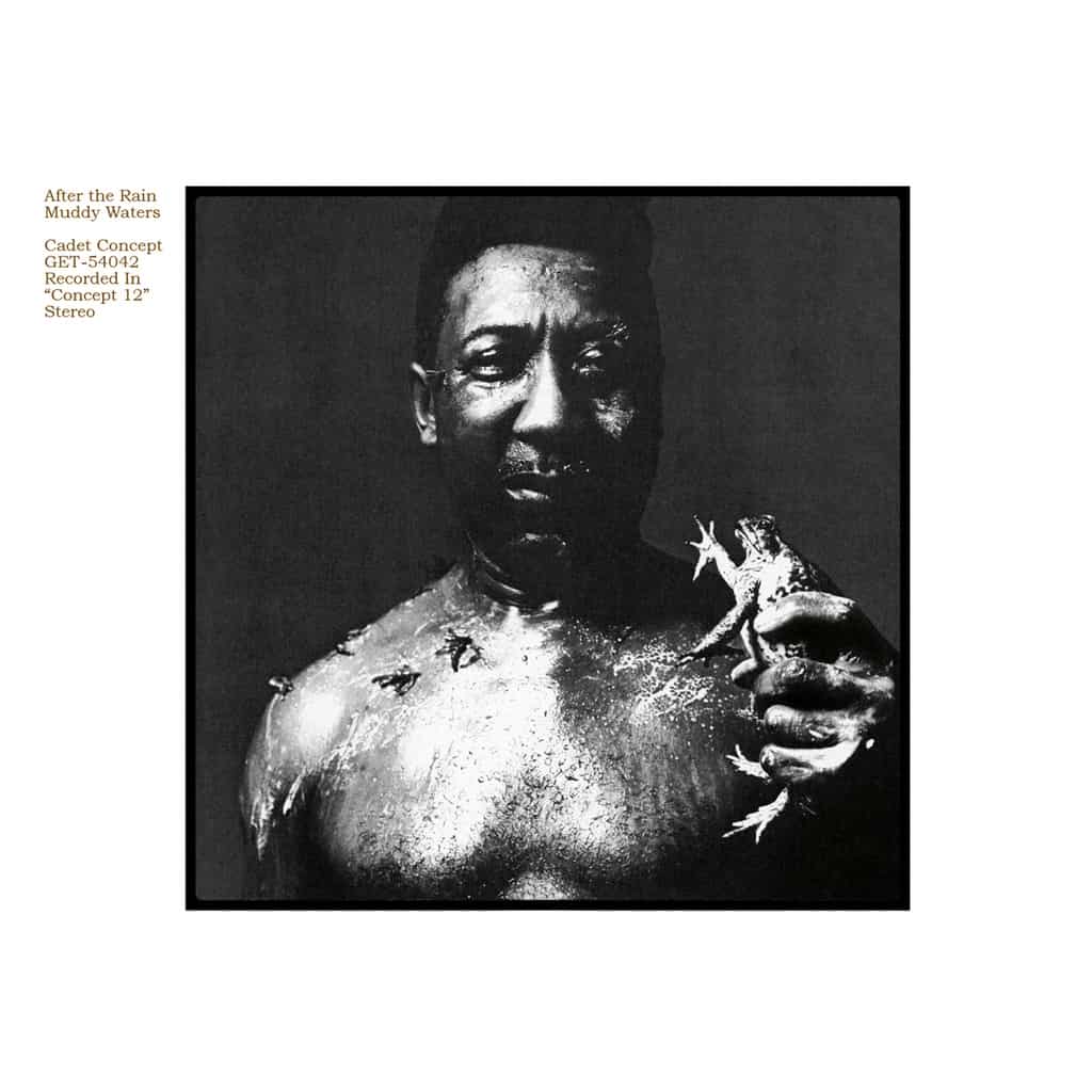 Muddy Waters | After The Rain