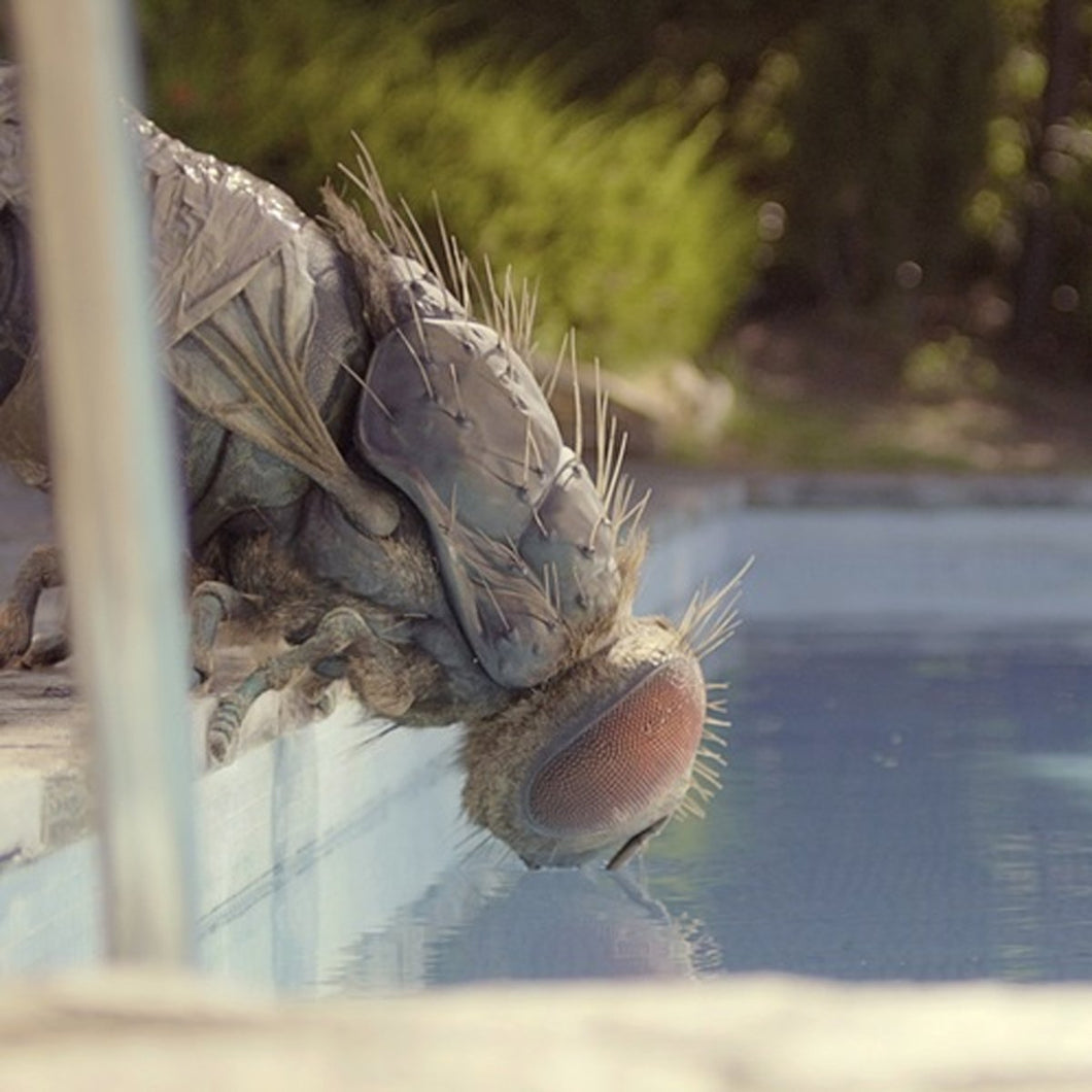 Metronomy | Mandibules