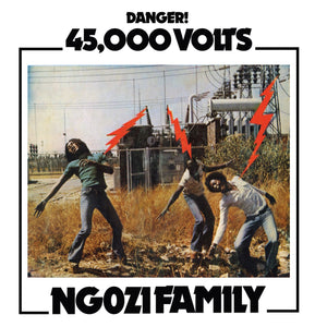 Ngozi Family | 45,000 Volts