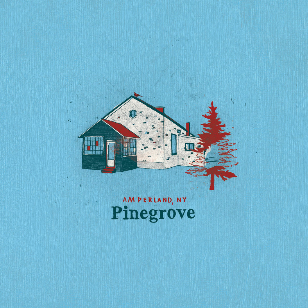 Pinegrove | Amperland