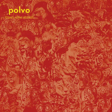 Polvo | Today’s Active Lifestyles