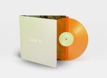 Load image into Gallery viewer, JARV IS | Beyond The Pale - Hex Record Shop