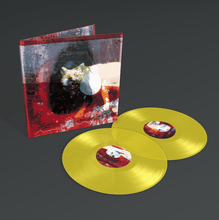 Load image into Gallery viewer, Mogwai | As The Love Continues