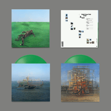 Load image into Gallery viewer, Squid | Bright Green Field