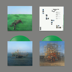 Squid | Bright Green Field