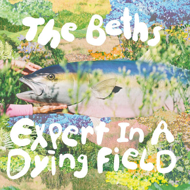 The Beths | Expert In A Dying Field
