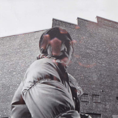 Aldous Harding | Warm Chris